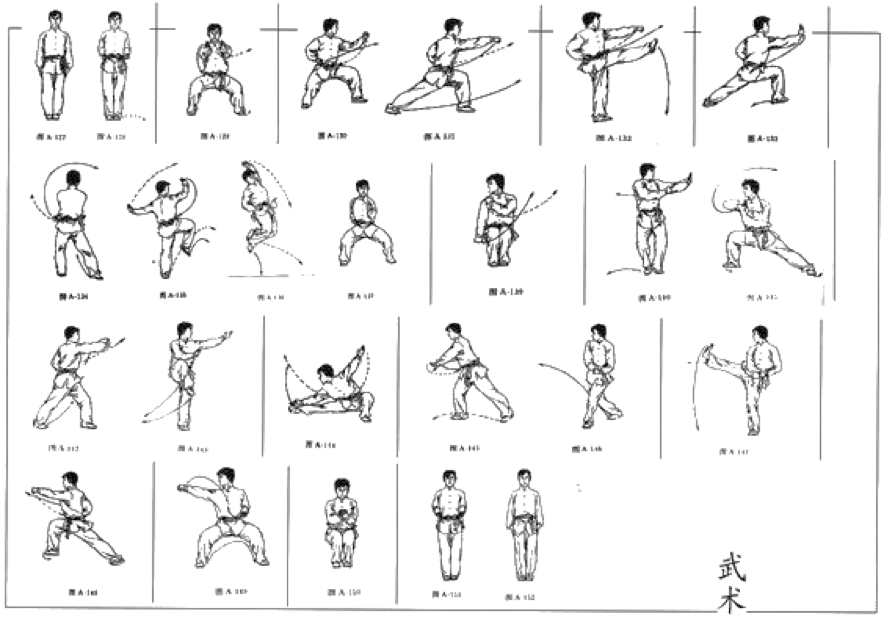 Forma de 16 movimientos de Chang Quan en dibujos
